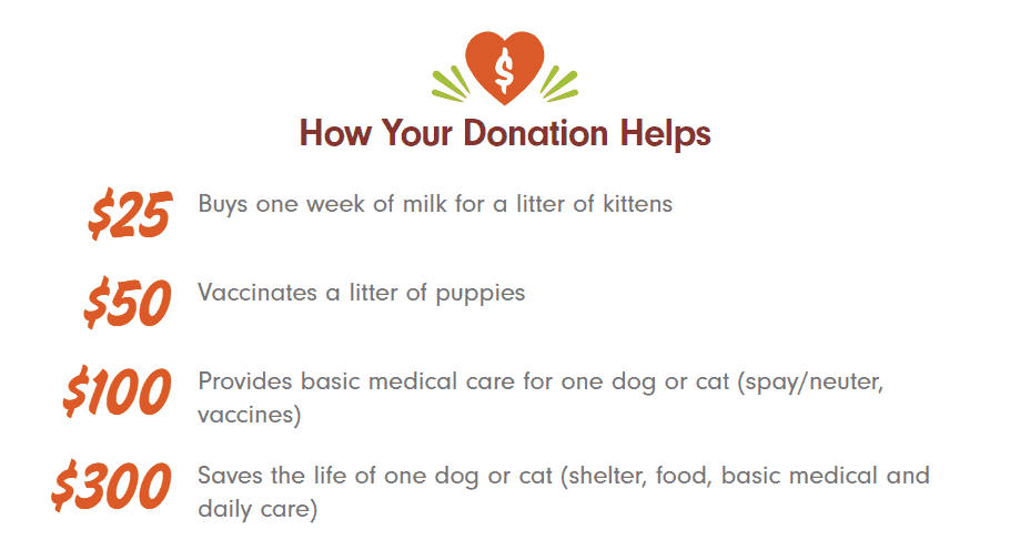 Different examples of donation levels.