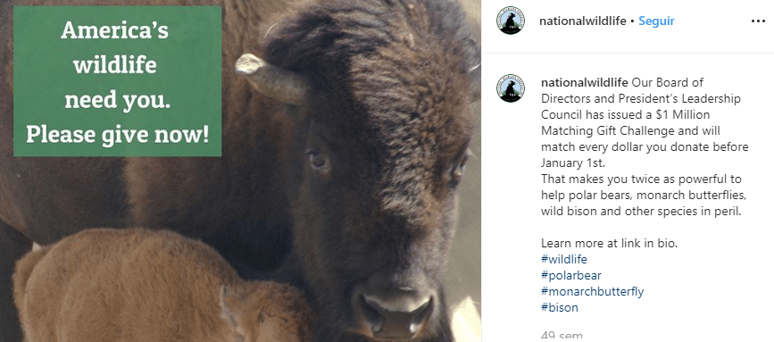 Using an Instagram post to drive donations.