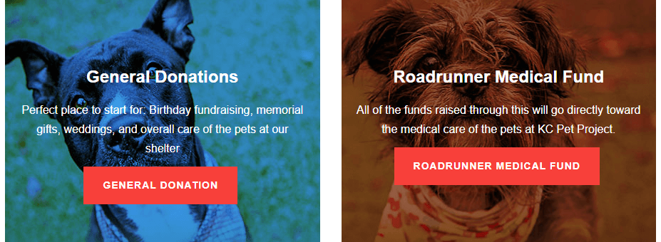 Choosing what type of donation to make.