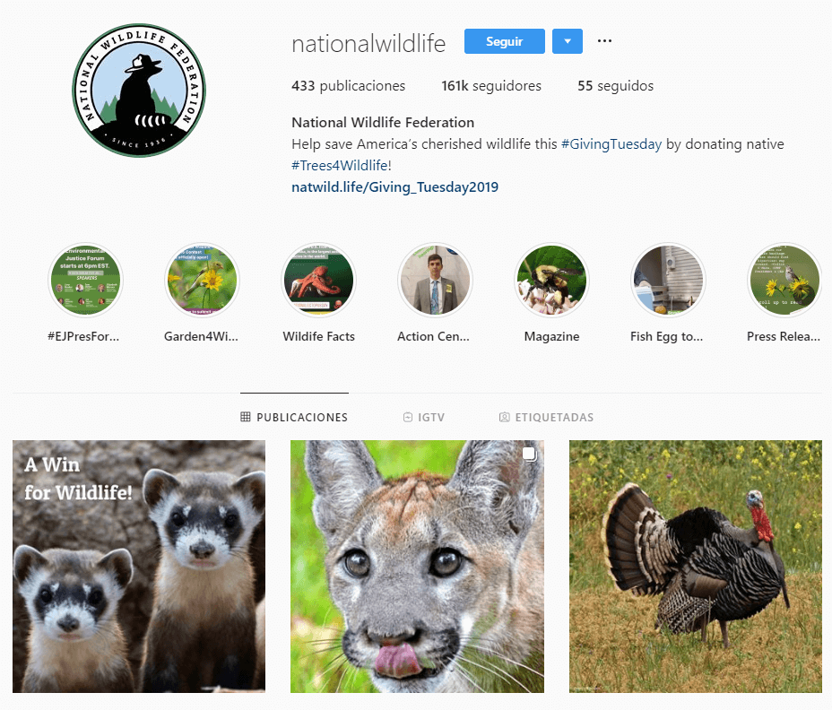 An example of an animal nonprofit organization profile page.
