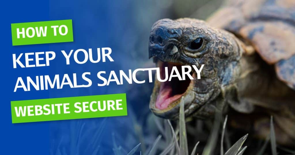 secure-website