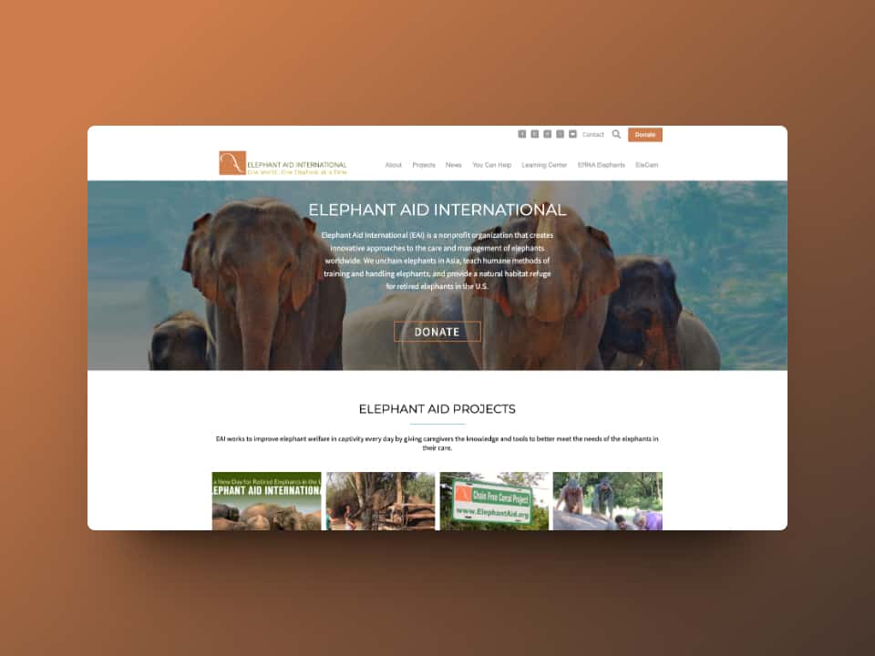 elephant-aid-international