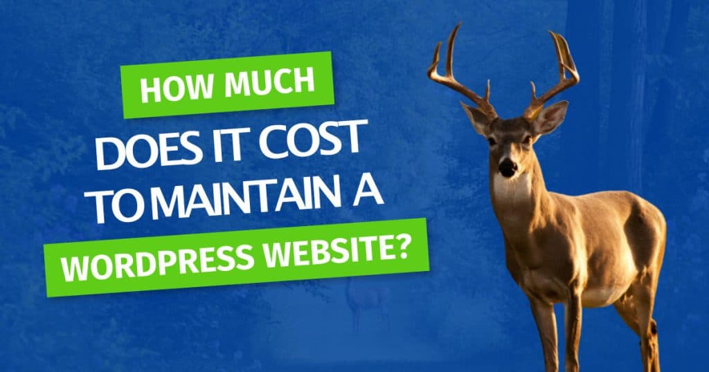 cost-to-maintain-a-website