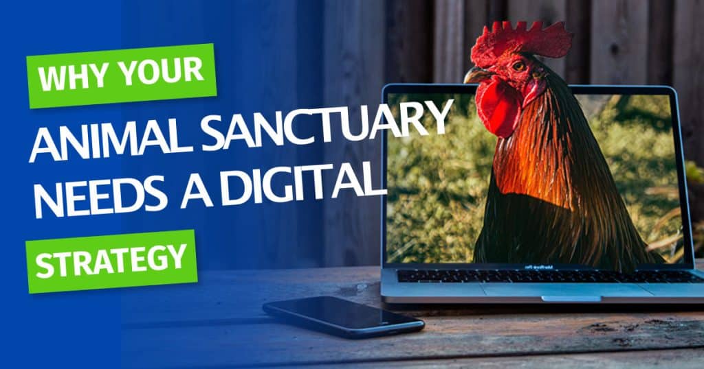 digital-strategy