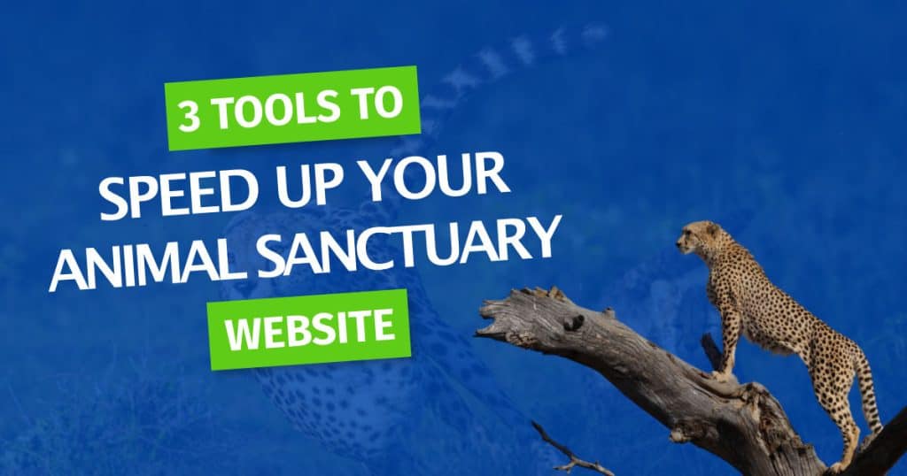 3-tools-to-speed-up-your-website