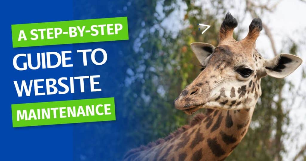 step-by-step-guide-to-website-maintenance