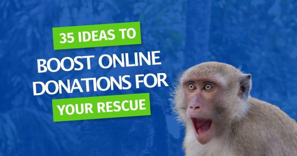35 ideas