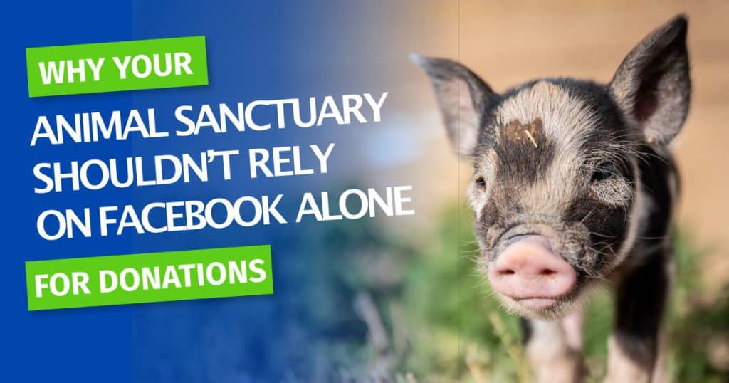 rely-on-facebook
