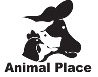 animals transparent