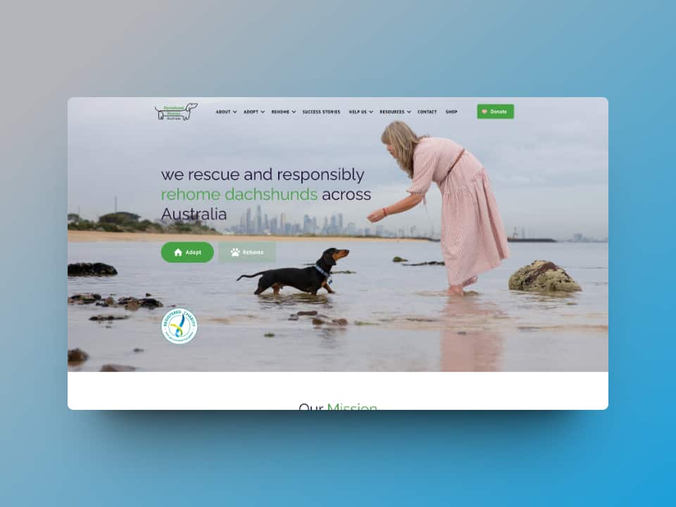 dachshund-rescue