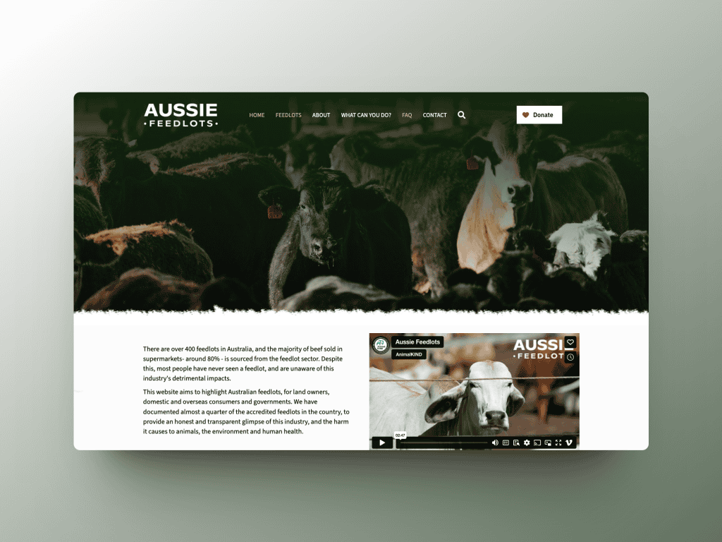 aussiefeedlots